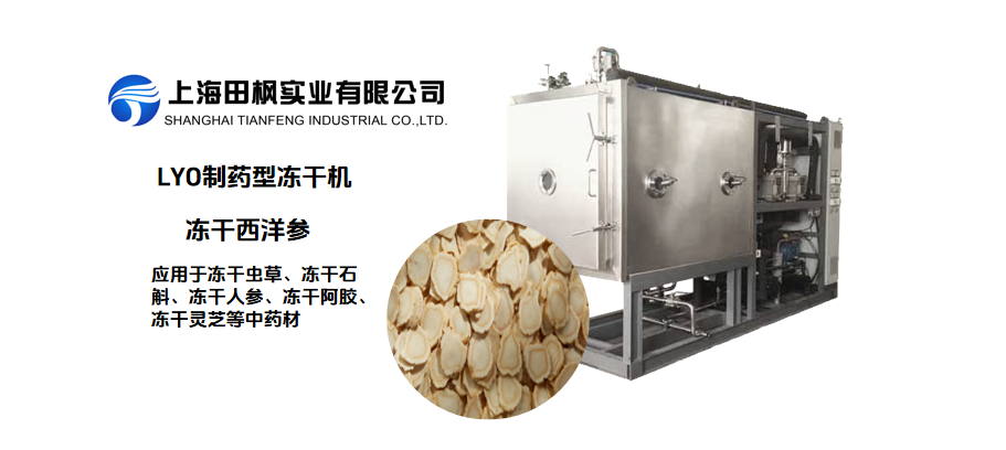 凍干西洋參和傳統(tǒng)干燥西洋參的對(duì)比